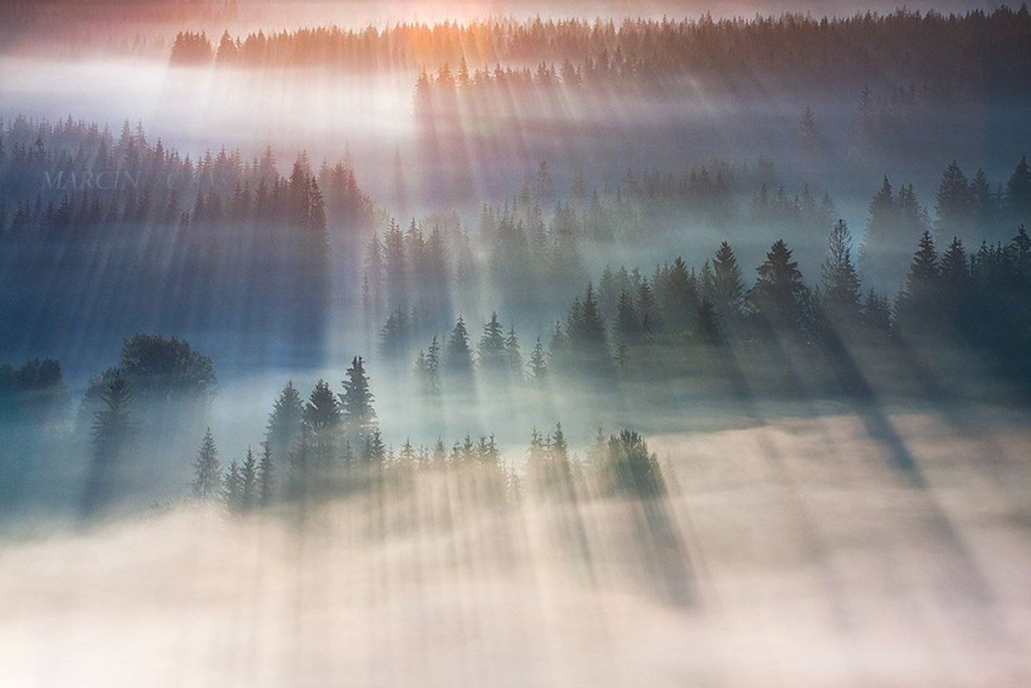 , Marcin Sobas