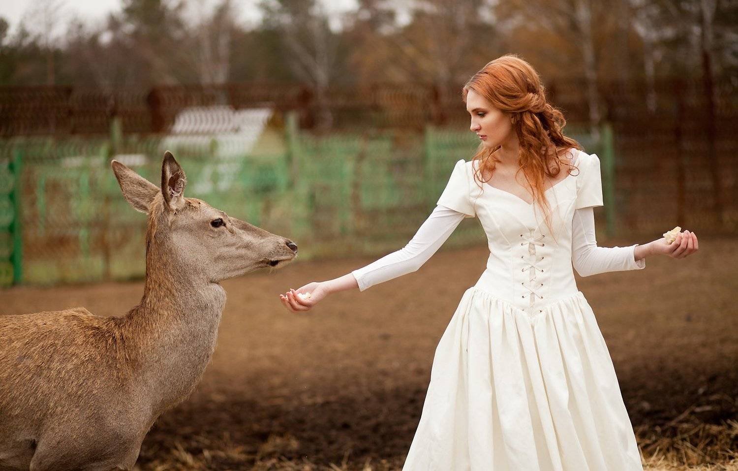 девушка, олень. рыжая, белое платье, весна, осень, поле, лес, животные, сказка, фентези, girl, deer. red, white dress, spring, fall, field, forest, animals, fairy tale, fantasy, Ровдо Яна