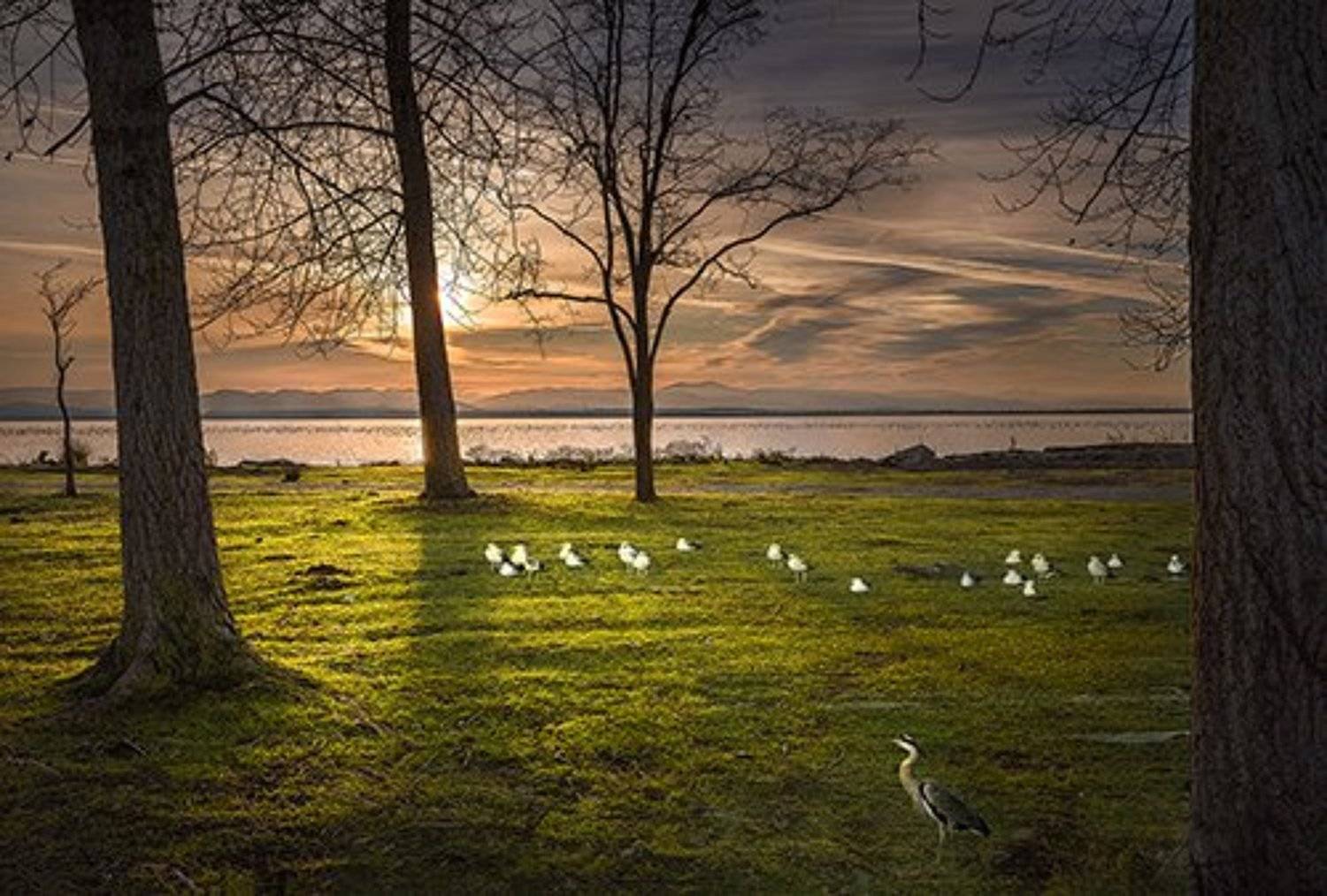 , Ramazan Yıldırım