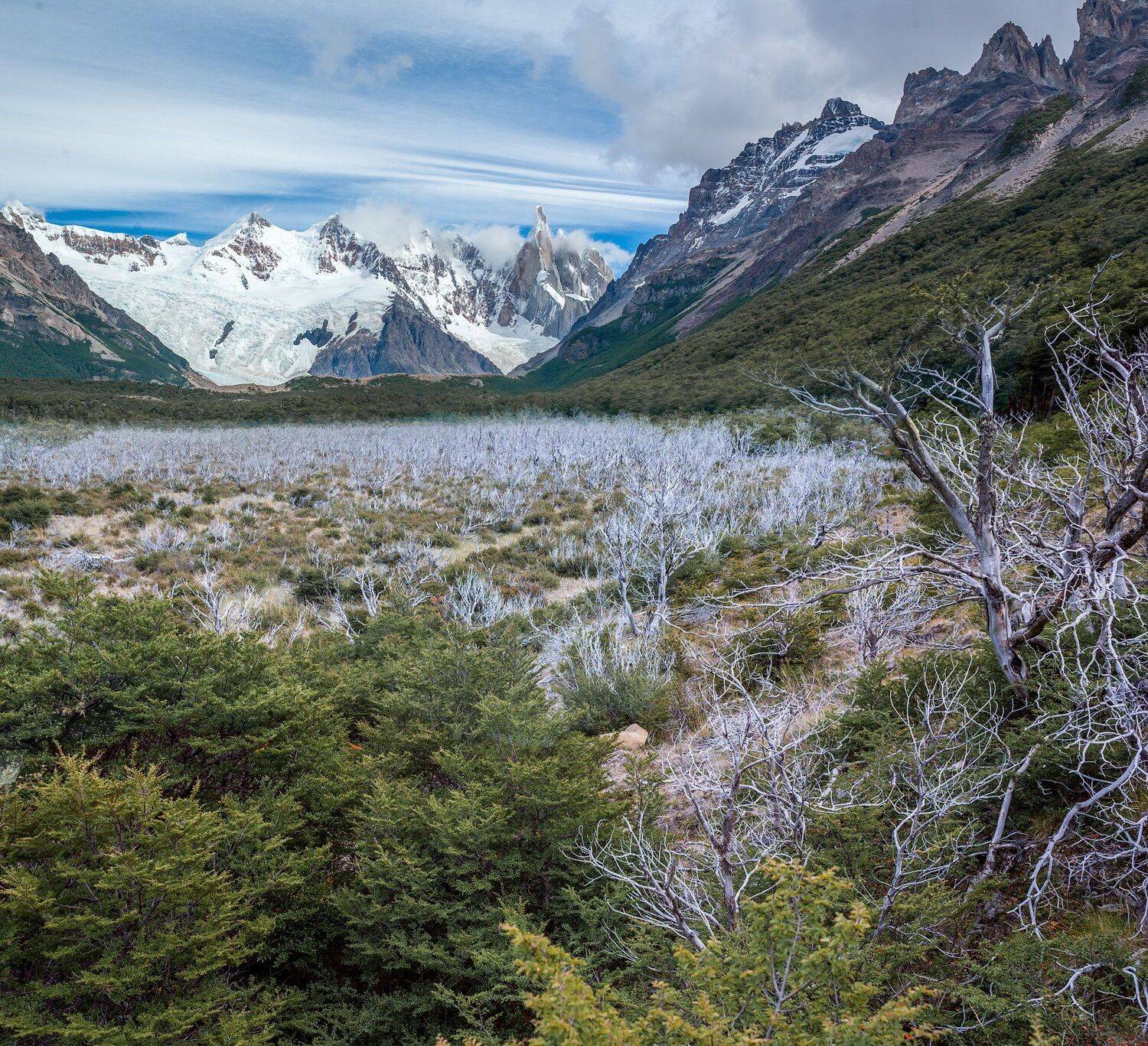 , Виктор Белименко