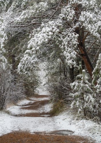 Первый снег