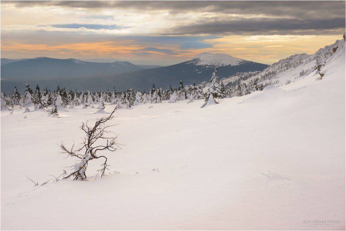 , Кутыгин Эдуард