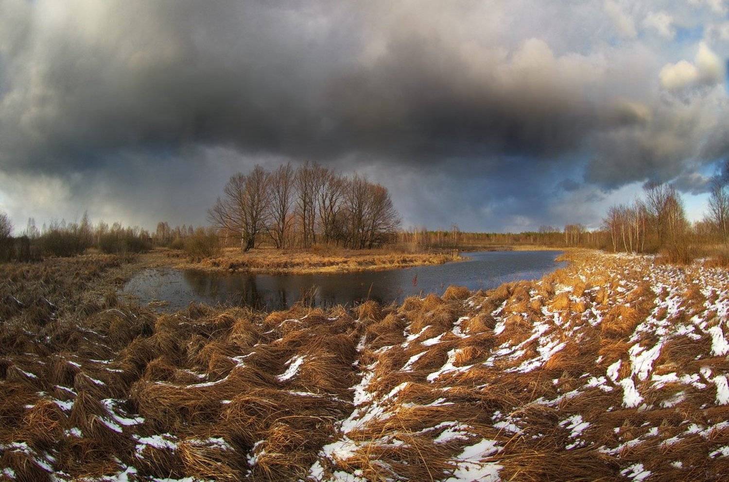 , Сергей Шляга