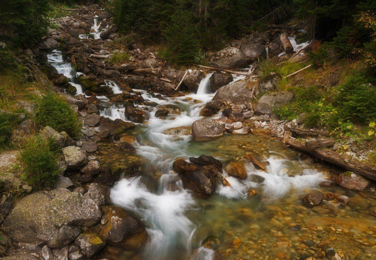 бадукское, карачаево-черкесия, река, теберда, хаджибей, Игорь Подобаев