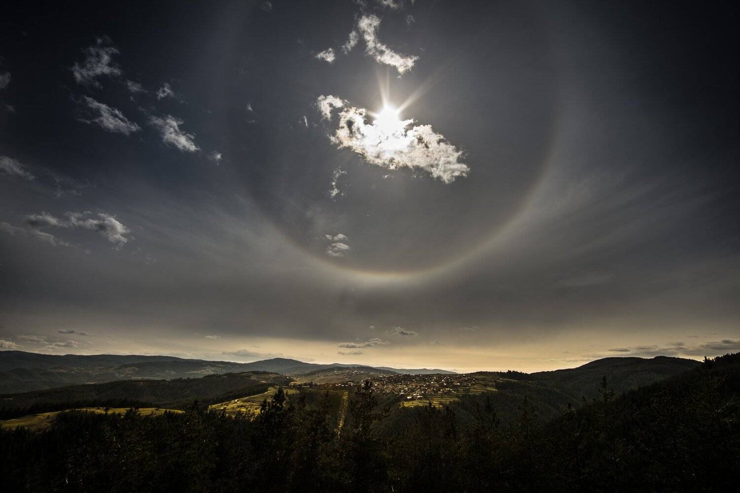 Halo,, Boris Preslavski