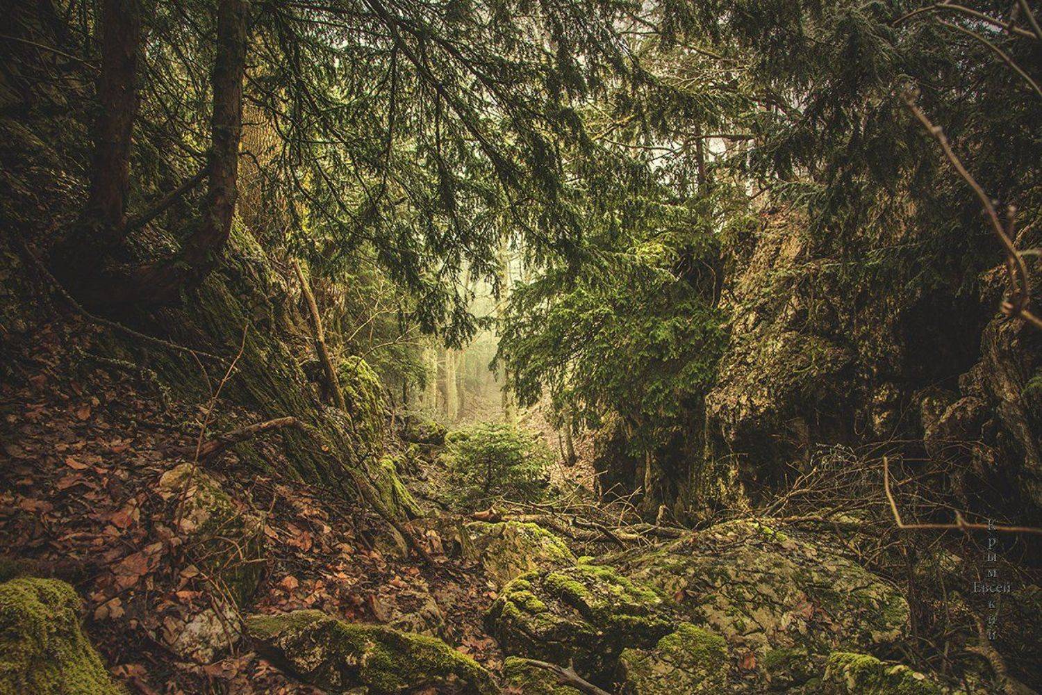 , Борис Костарев