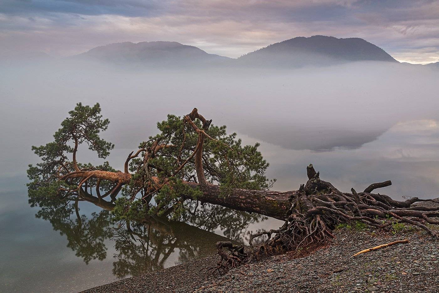 Altai, Fog, Siberia, Алтай, Сибирь, Телецкое озеро, Туман, Павел Филатов