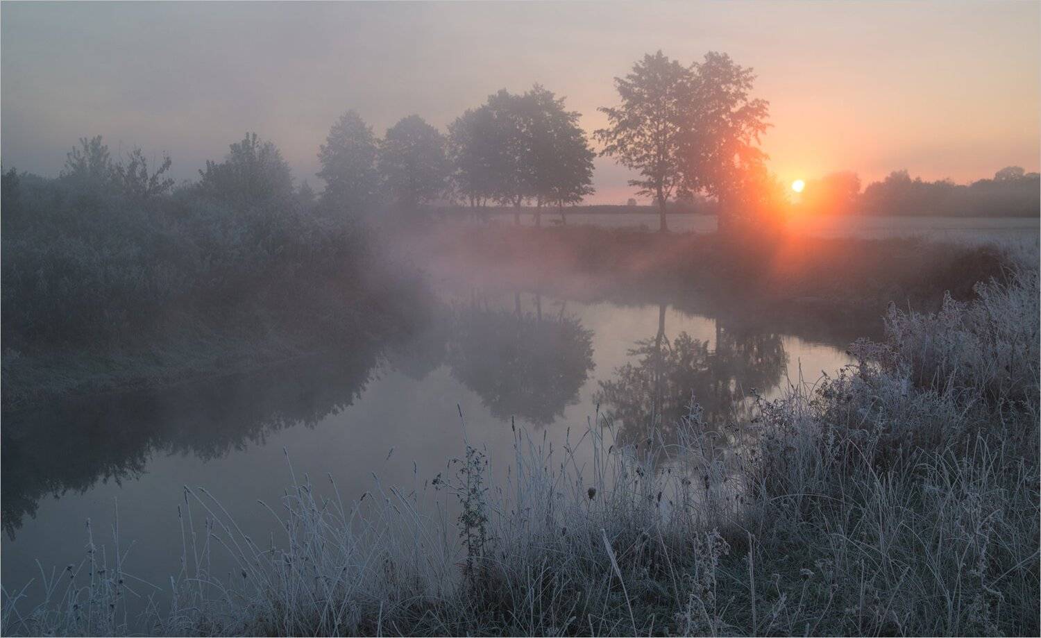 , Николай Шахманцир