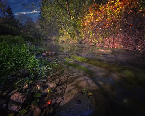 Между летом и зимой