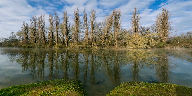 Про пятнадцать тополей на Плющихе фото превью