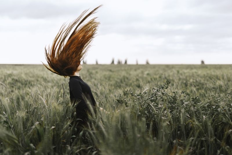 Gone with the wind фото превью