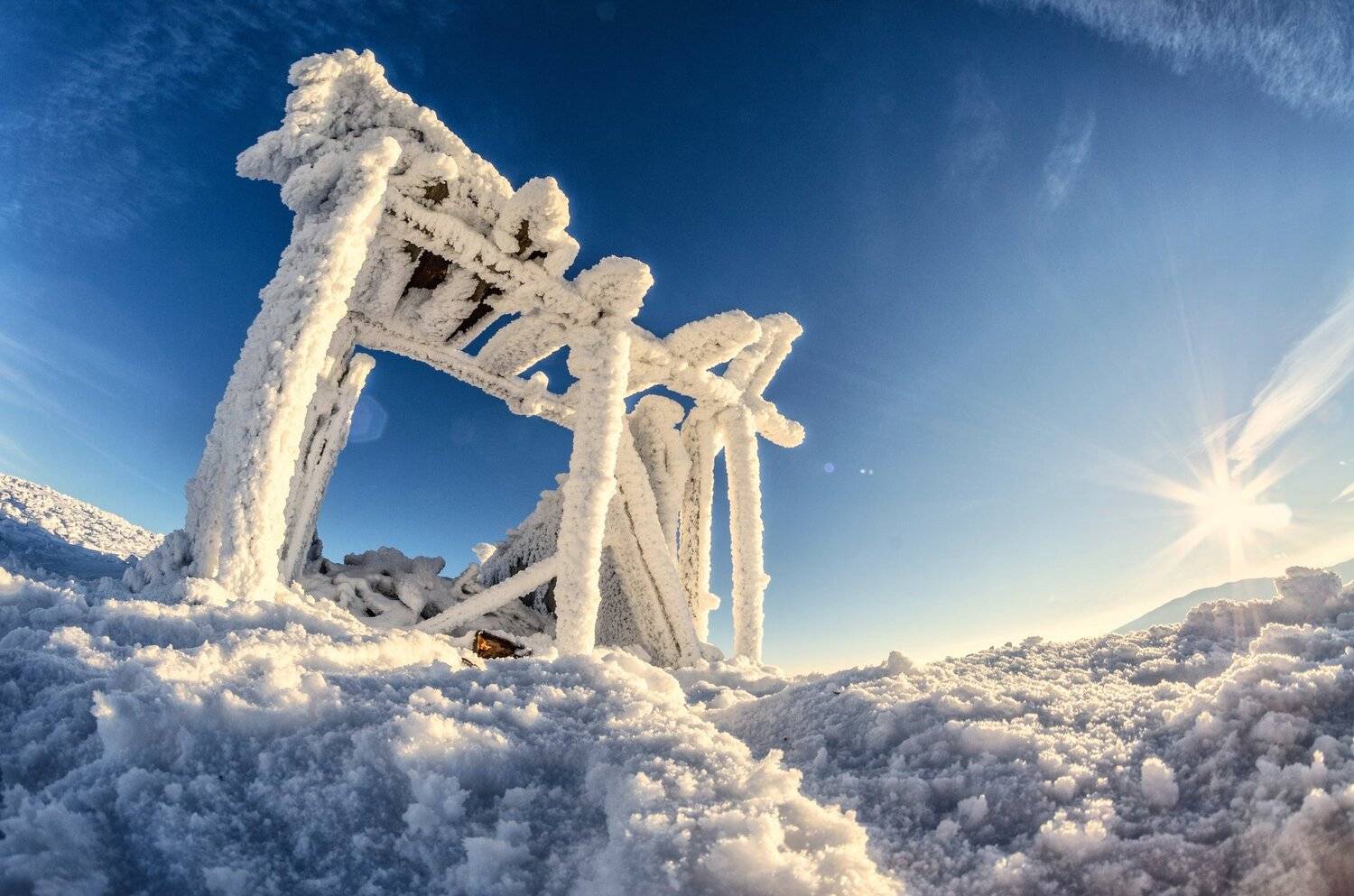 , Olari Ionut
