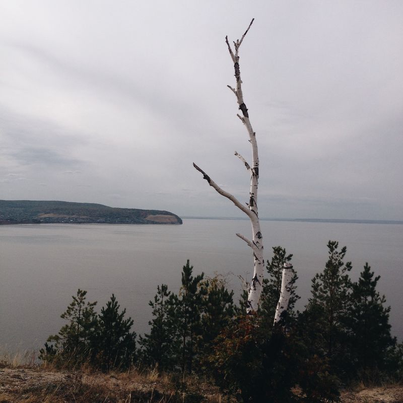 мобильная, фотография, mobile, photography Мобильная фотография ч.44 фото превью