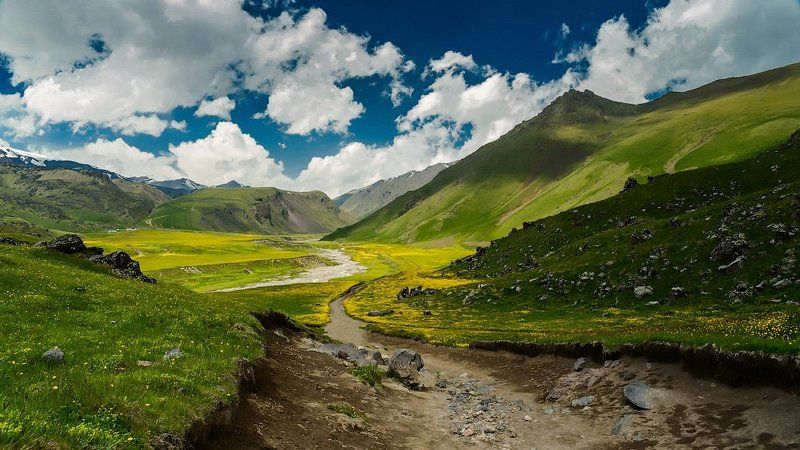 Горные цветы, Горы, Долина, Кавказ, Кавказ приэльбрусье горы пейзаж, Пейзаж, Приэльбрусье Так цветут горы фото превью
