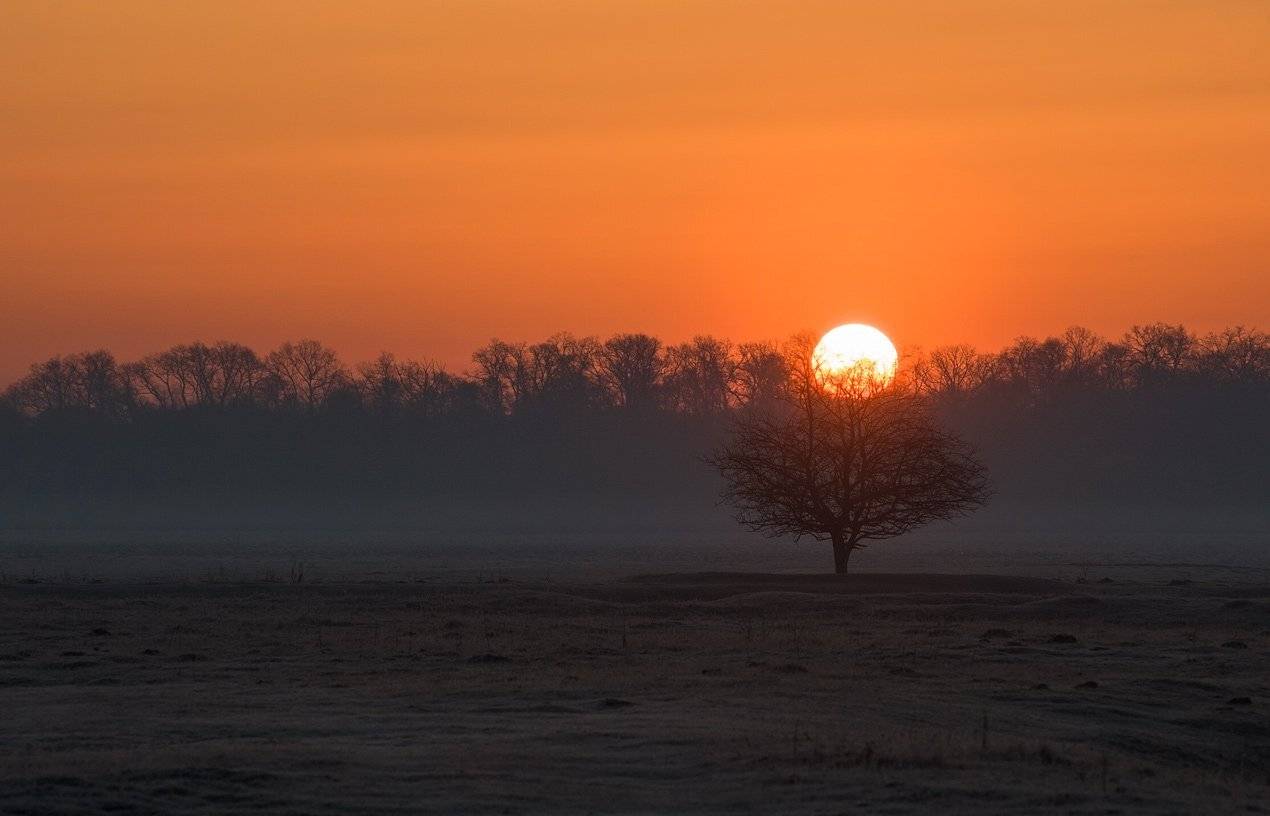 , Володимир Карчевський
