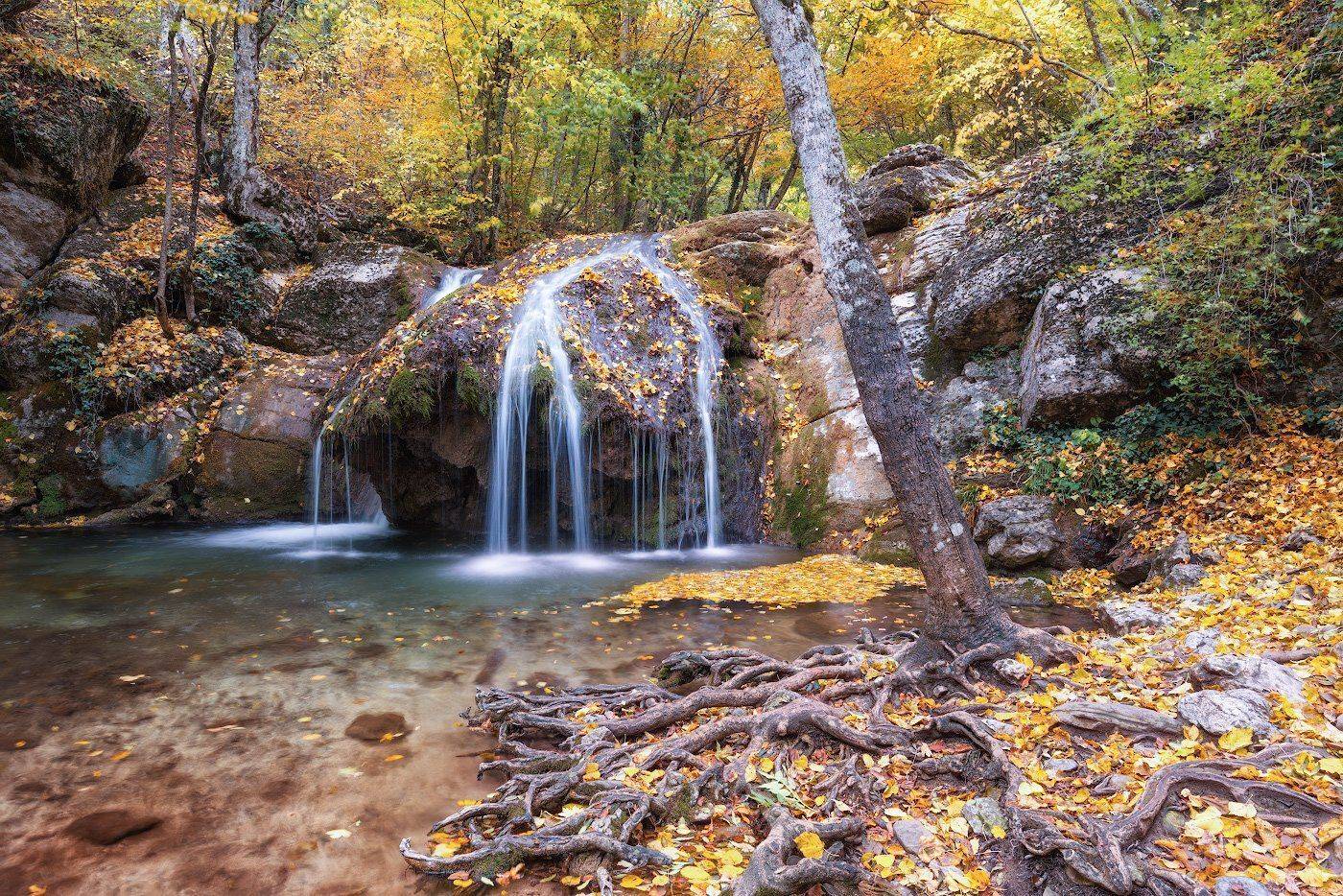 Лес, Осень, Пейзаж, Dmitriy  Baginskiy