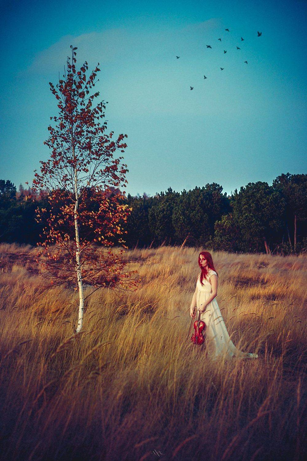 Autumn, Birds, Mood, Outdoor, Portrait, Redhead, Violin, Woman, Руслан Болгов (Axe)