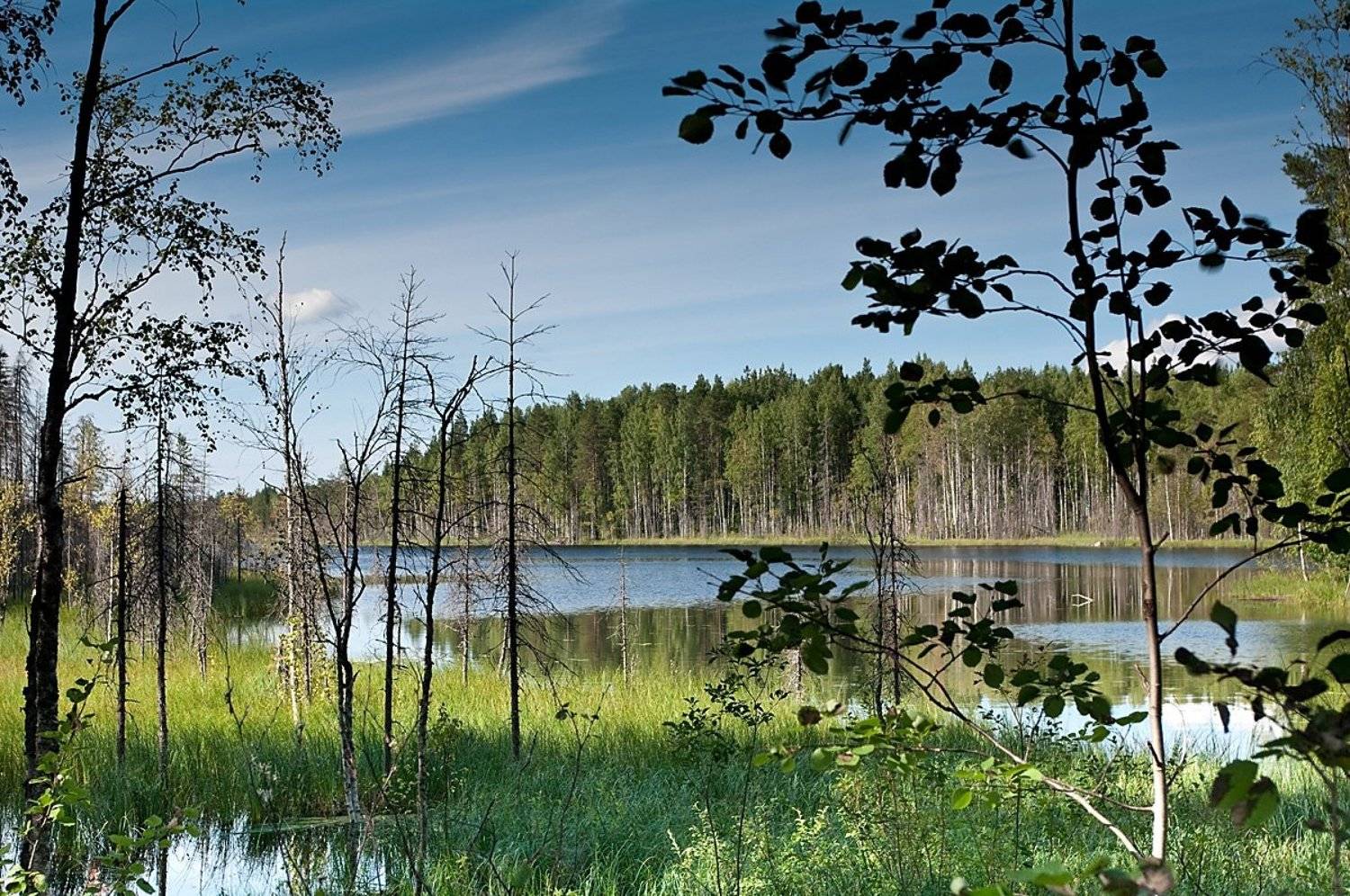 , Ирина Белотурова