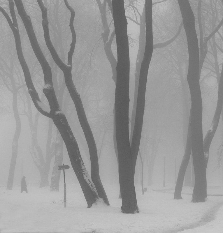 > > фото превью