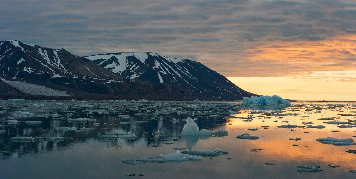 , Андрей Ведерников