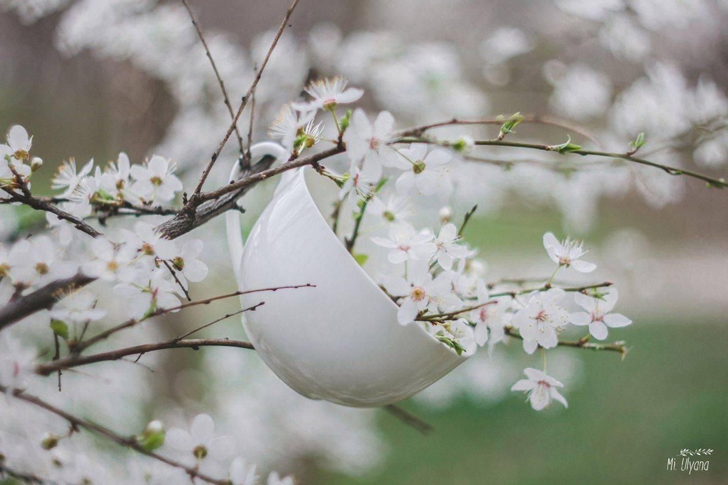 , Ульяна Буканова (Мизинова)