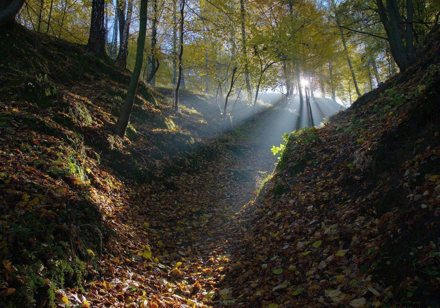 , Сергей Шляга