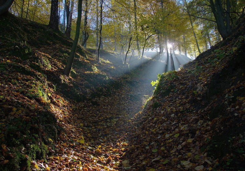 Поднималось солнце фото превью
