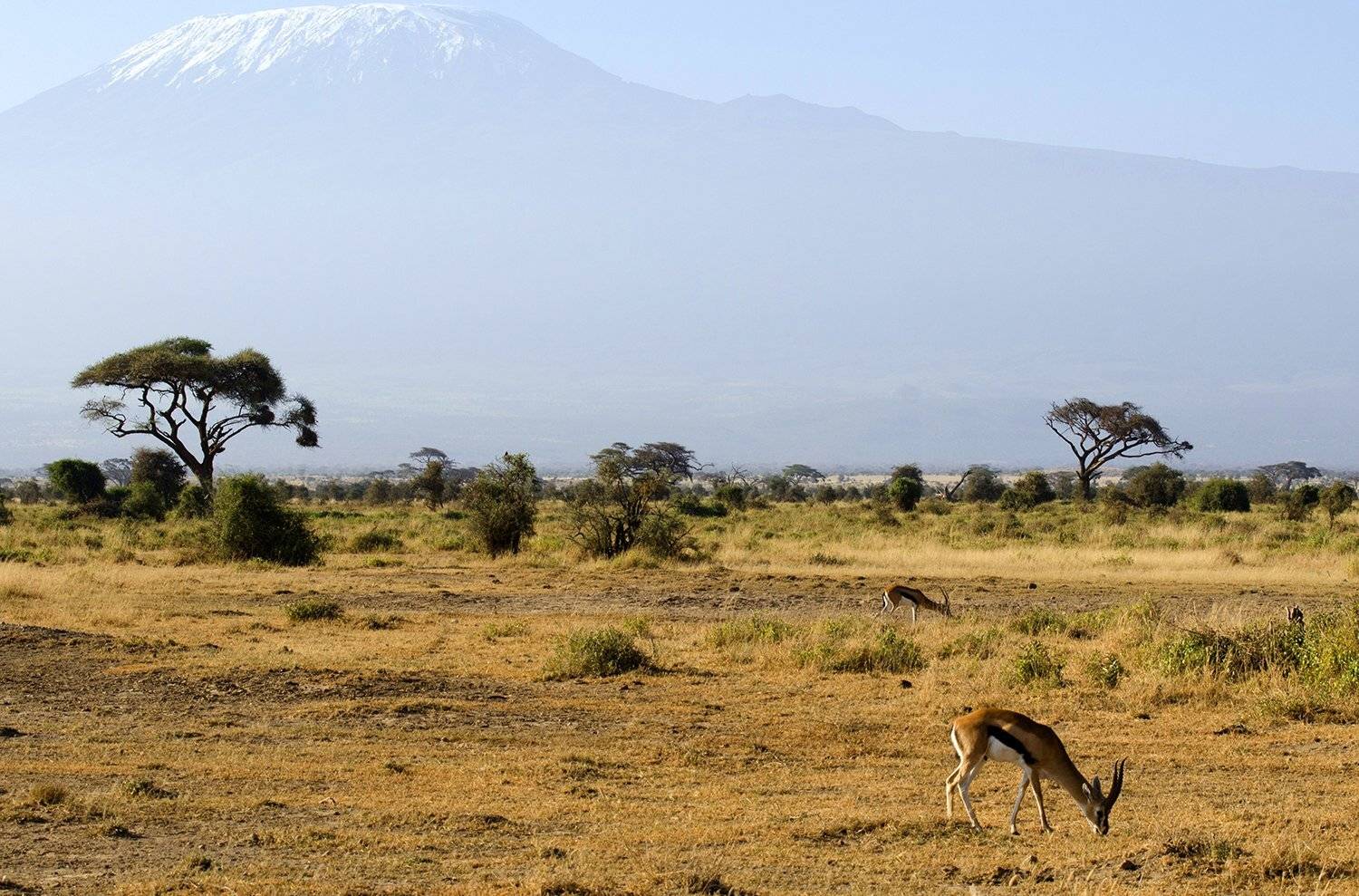 , Марина Мудрова