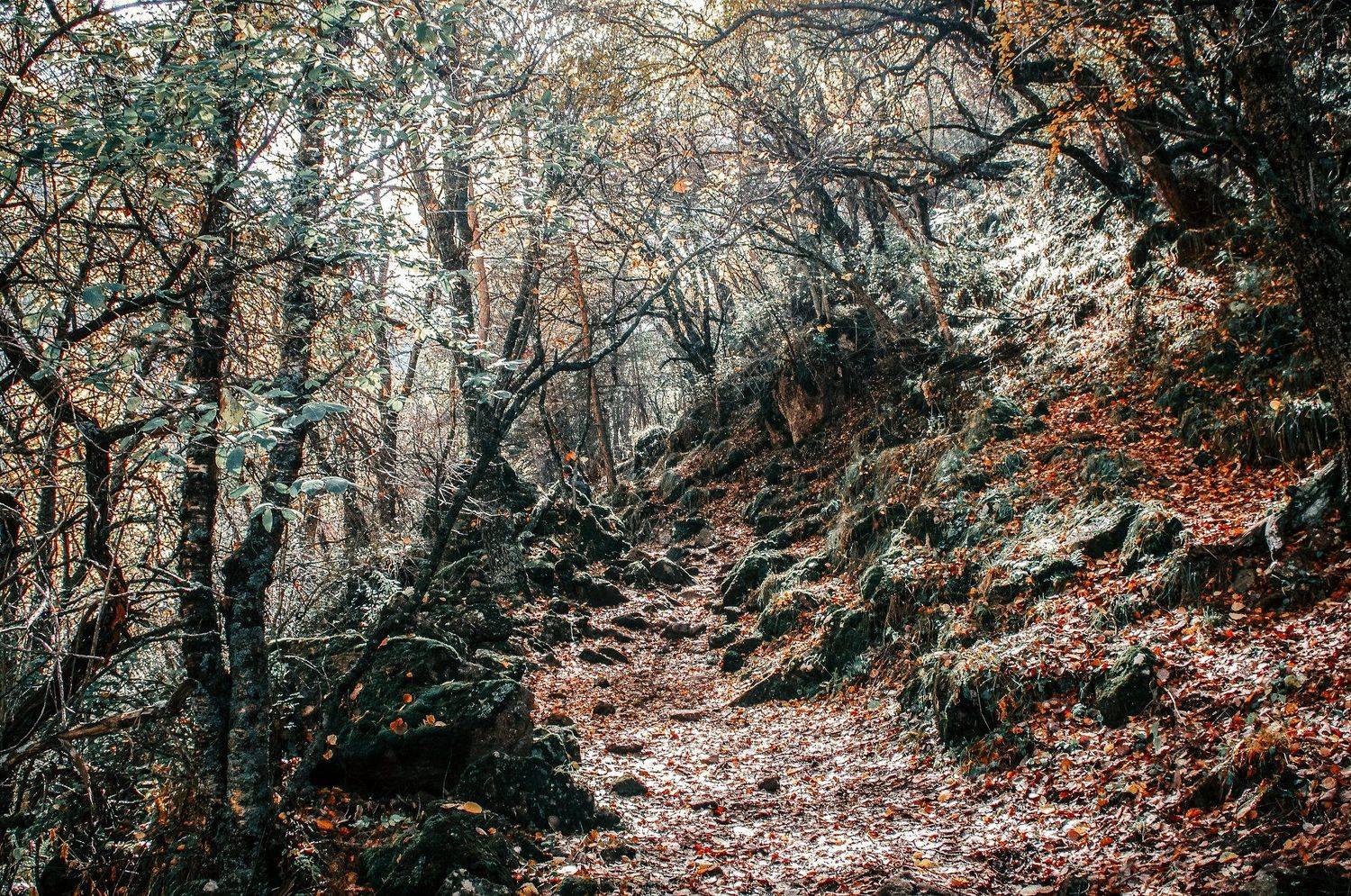 , Иван Гудовцов