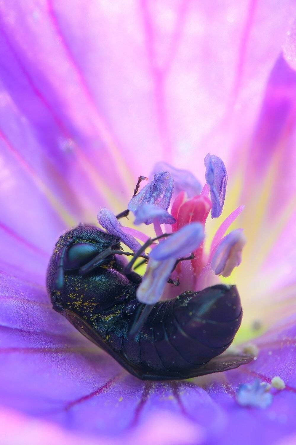 , Кузнецов Дмитрий