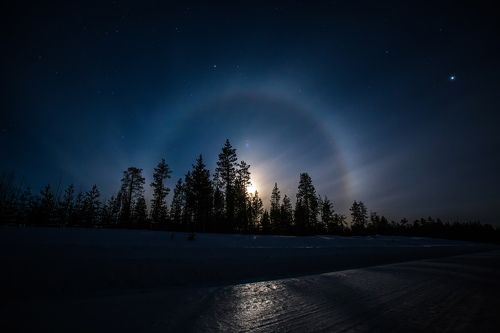 Ночное светило