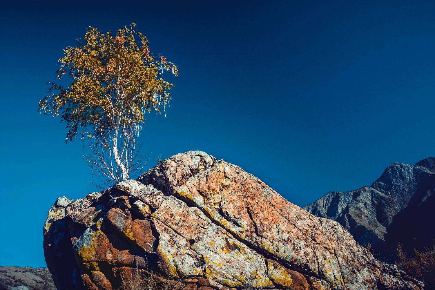 , Рудик Валерий