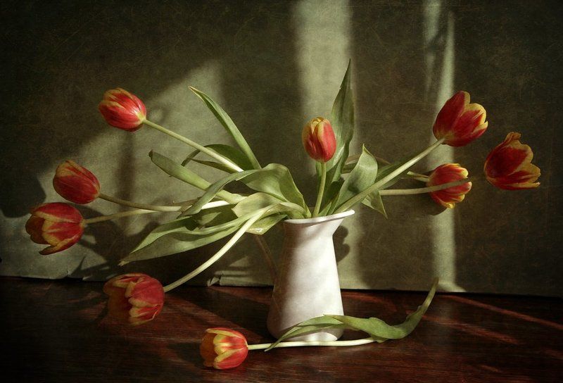 Солнце и тюльпаны фото превью