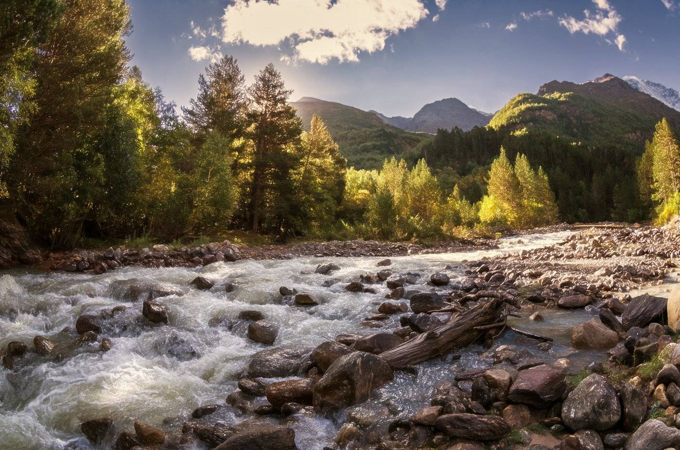 , Игорь Мелекесцев