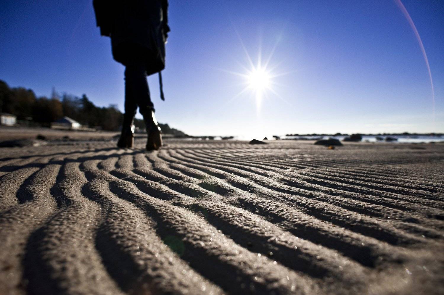 , Дмитрий Жуков