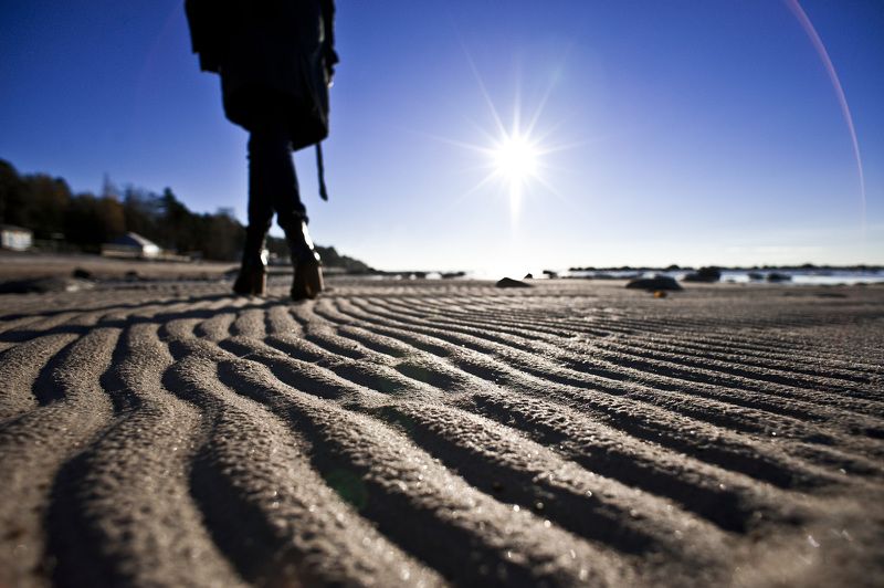 Финский залив фото превью