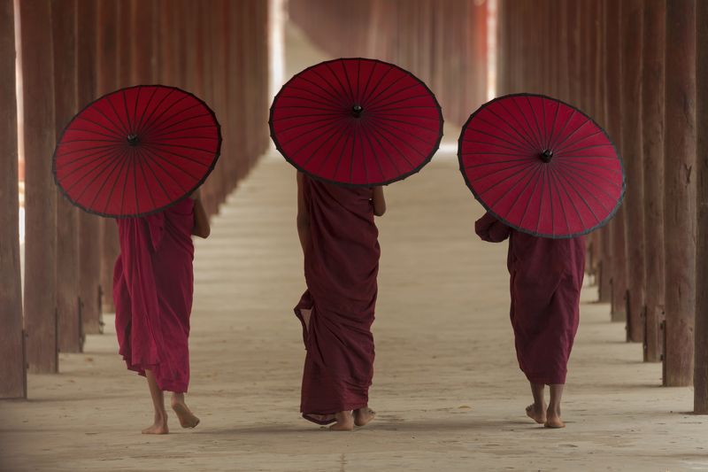 Buddhist Monk фото превью