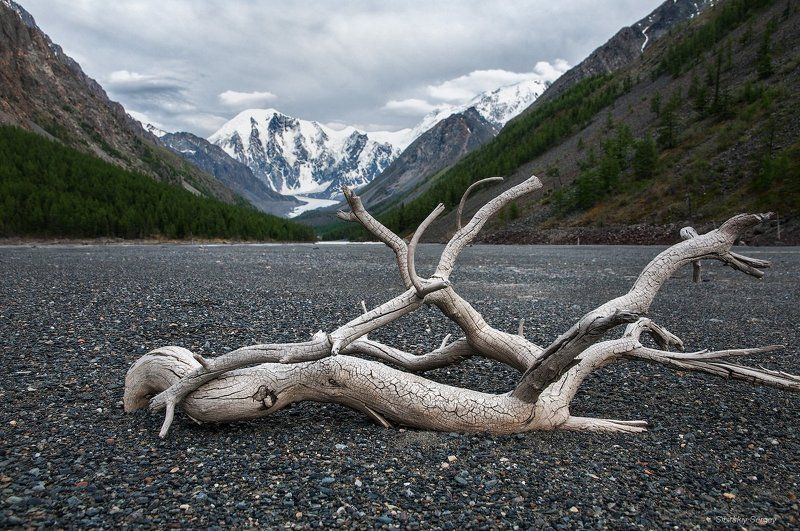 алтай, маашей, мажой Мертвое озеро Маашей фото превью