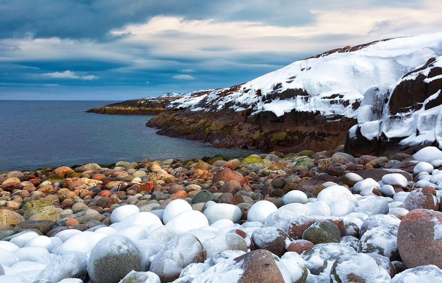 , Щипкова Елена