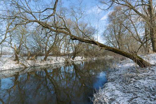 Отражение весны