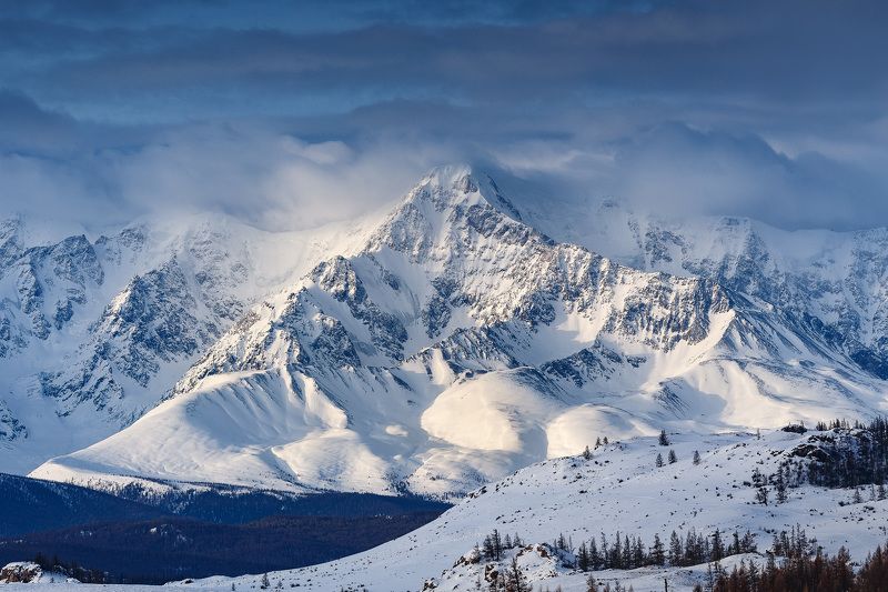 Алтай, Горы, Зима, Пейзаж, Природа, Снег Утро на Северо-Чуйском фото превью