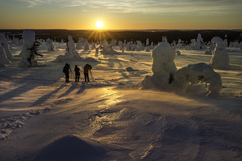 PASSION фото превью
