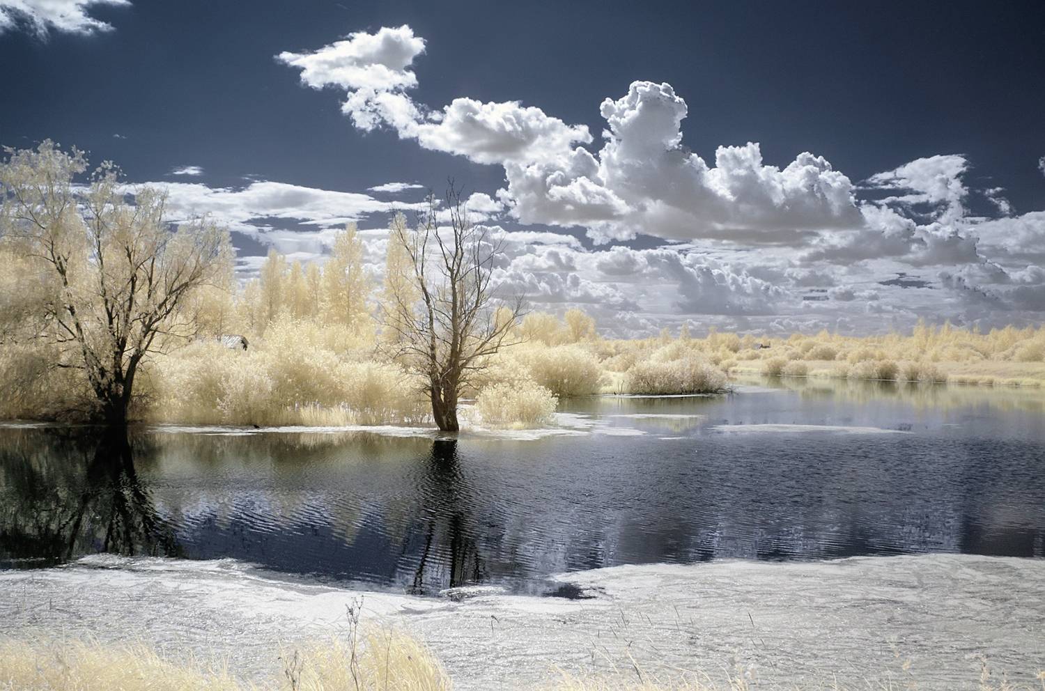 инфракрасная фотография, фильтр 590nm.,  Гобова Наталья