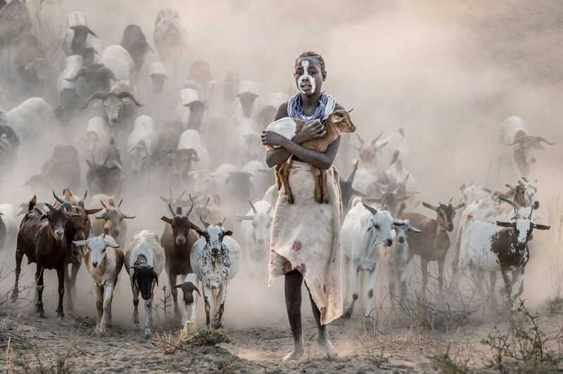 фото превью