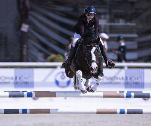 На крыльях победы