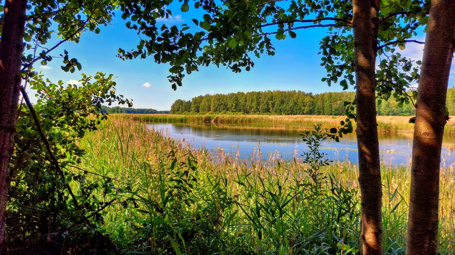 , Фотов Ренат