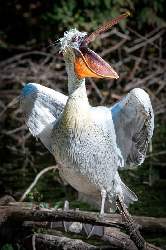 Рыбак фото превью