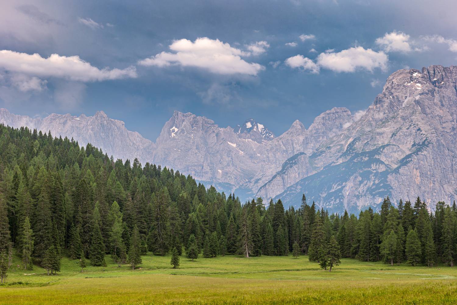 , Гордон Николай