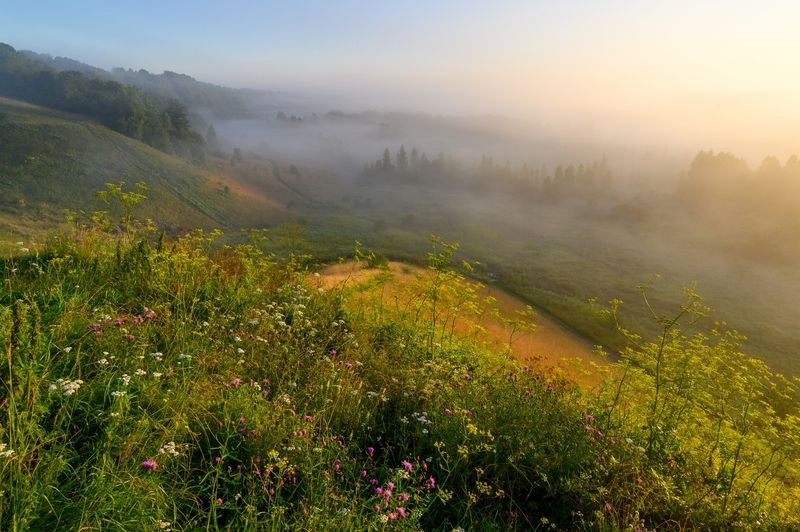 Туманное море фото превью