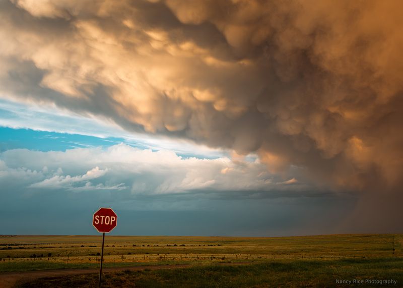 new mexico, usa, america, storm, thunderstorm, clouds, cloud, mammatus,  weather, sign, landscape, nature, outdoors STOP фото превью